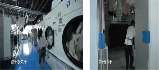 3000件衣服每日清洗消毒？一七生活中央工廠展現高效與專業實力